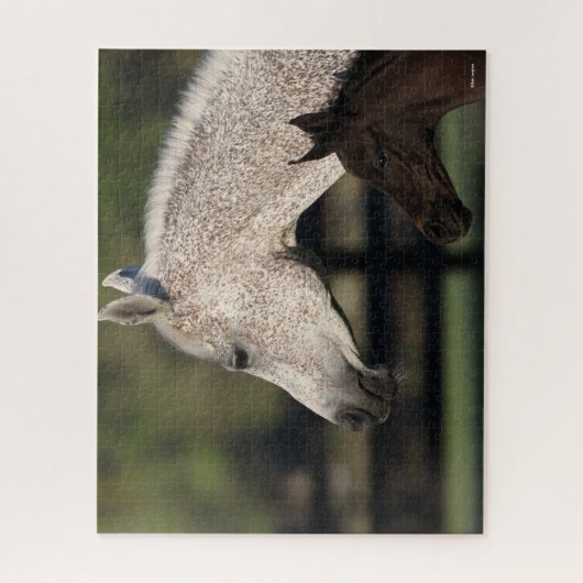 Puzzle Bob Langrish | Capture d'écran arabe de Mare et Fo (Vertical)