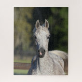 Puzzle Bob Langrish | Capture d'écran arabe gris (Vertical)