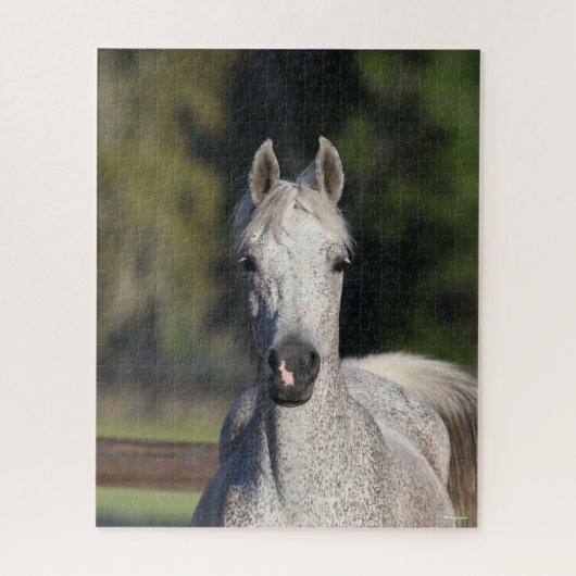 Puzzle Bob Langrish | Capture d'écran arabe gris (Vertical)