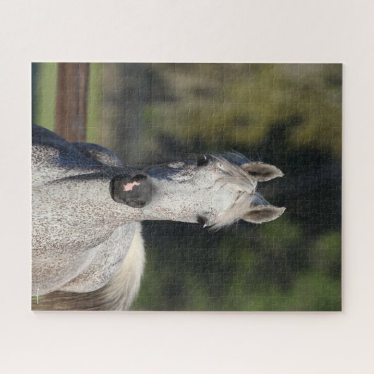 Puzzle Bob Langrish | Capture d'écran arabe gris (Horizontal)