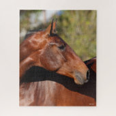 Puzzle Bob Langrish | Capture d'écran de Bay Andalucian (Vertical)