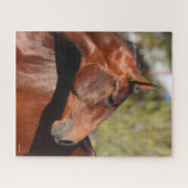 Puzzle Bob Langrish | Capture d'écran de Bay Andalucian (Horizontal)