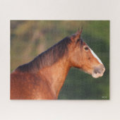Puzzle Bob Langrish | Capture d'écran de Bay Clydesdale (Horizontal)