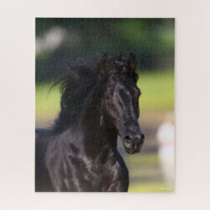 Puzzle Bob Langrish   Capture d'écran de Black Rocky Moun