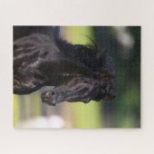 Puzzle Bob Langrish | Capture d'écran de Black Rocky Moun (Horizontal)