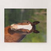 Puzzle Bob Langrish | Capture d'écran de Clydesdale (Horizontal)