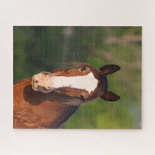 Puzzle Bob Langrish | Capture d'écran de Clydesdale (Horizontal)