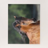 Puzzle Bob Langrish | Capture d'écran de la baie arabe (Vertical)