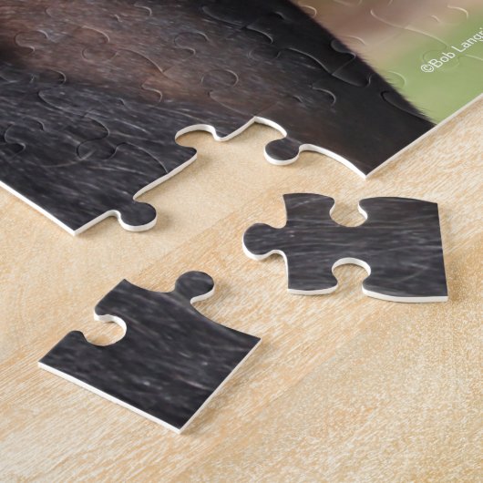 Puzzle Bob Langrish | Capture d'écran de la bannière tzig (Côté)