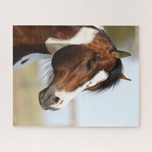 Puzzle Bob Langrish | Capture d'écran de l'étalon de Chev (Horizontal)