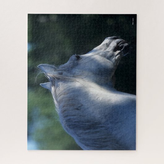 Puzzle Bob Langrish | Capture d'écran de l'étoile Gray Tr (Vertical)