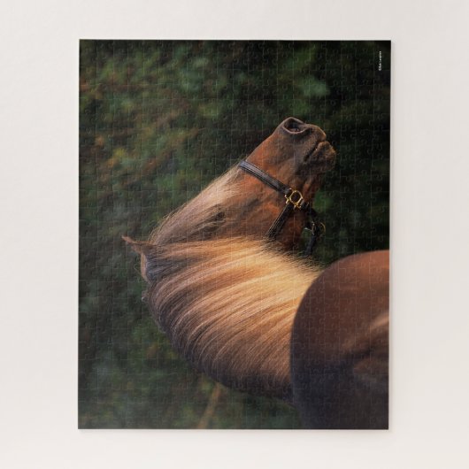 Puzzle Bob Langrish | Capture d'écran de Rocky Mountain H (Vertical)