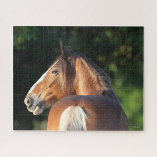 Puzzle Bob Langrish   Capture d'écran du Cheval Clydesdal