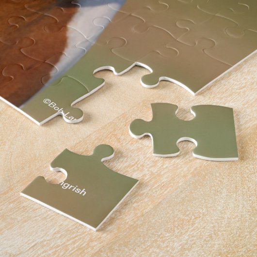 Puzzle Bob Langrish | Capture d'écran du Cheval de peintu (Côté)