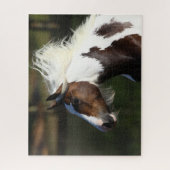 Puzzle Bob Langrish | Capture d'écran du Cheval du Tambou (Vertical)