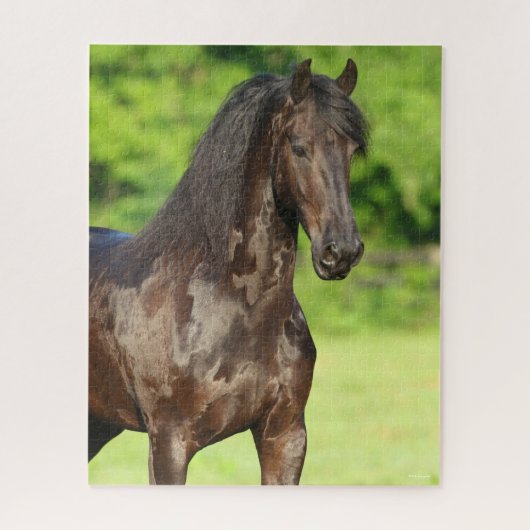 Puzzle Bob Langrish | Capture d'écran du cheval friésien (Vertical)