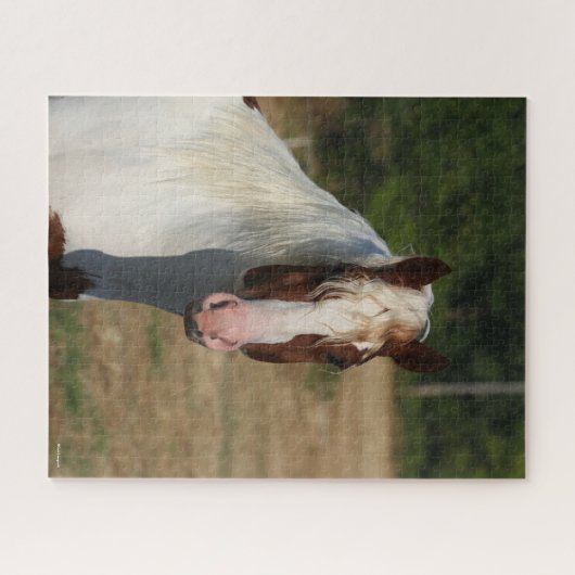 Puzzle Bob Langrish | Capture d'écran du cheval Pinto Haf (Horizontal)