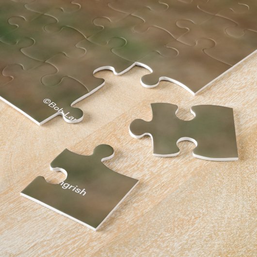 Puzzle Bob Langrish | Capture d'écran du cheval Pinto Haf (Côté)