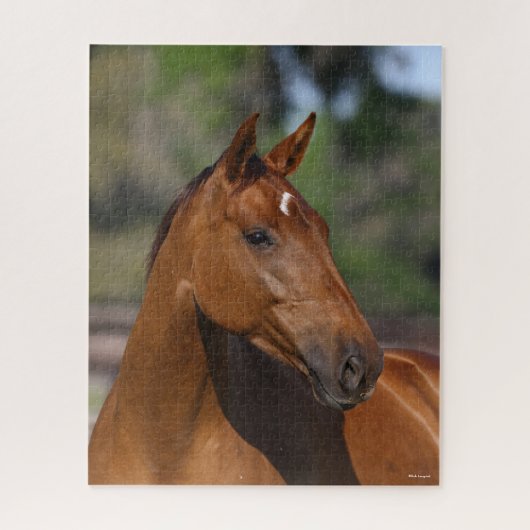 Puzzle Bob Langrish | Capture d'écran du Cheval sportif c (Vertical)