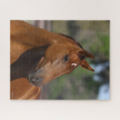 Puzzle Bob Langrish | Capture d'écran du Cheval sportif c (Horizontal)