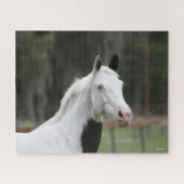 Puzzle Bob Langrish | Capture d'écran d'un cheval en sang (Horizontal)