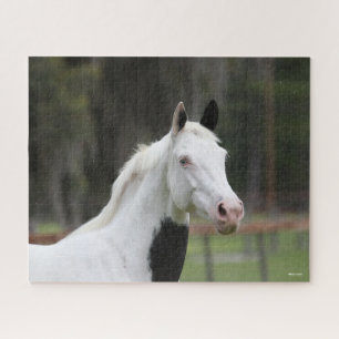 Puzzle Bob Langrish   Capture d'écran d'un cheval en sang