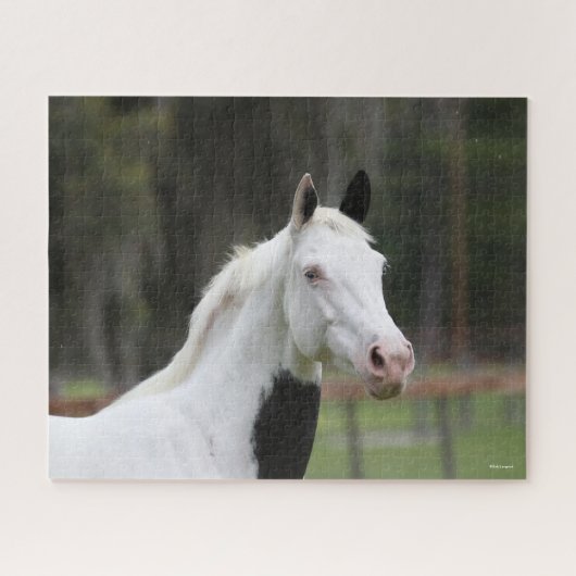 Puzzle Bob Langrish | Capture d'écran d'un cheval en sang (Horizontal)