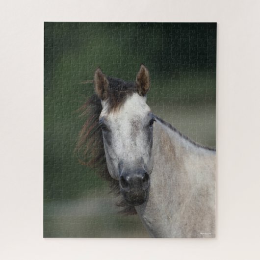 Puzzle Bob Langrish | Capture d'écran d'un cheval gris (Vertical)