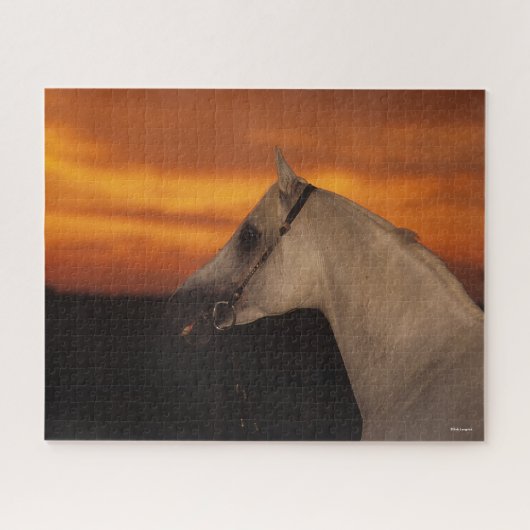 Puzzle Bob Langrish | Capture d'écran en arabe gris au co (Horizontal)