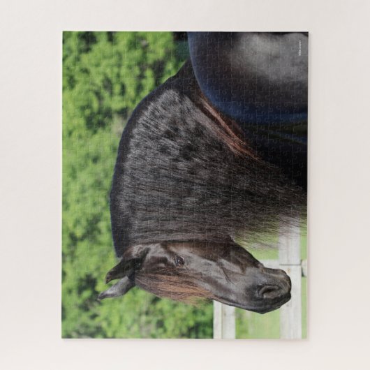 Puzzle Bob Langrish | Capture d'écran Friesian Horse Stan (Vertical)