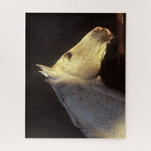 Puzzle Bob Langrish | Capture d'écran Gray Thoroughbred S (Vertical)