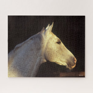 Puzzle Bob Langrish   Capture d'écran Gray Thoroughbred S