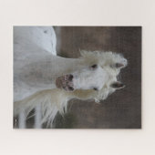 Puzzle Bob Langrish | Capture d'écran Grey Friesian Appal (Horizontal)