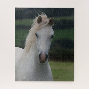 Puzzle Bob Langrish   Capture d'écran Gris Welsh Pony