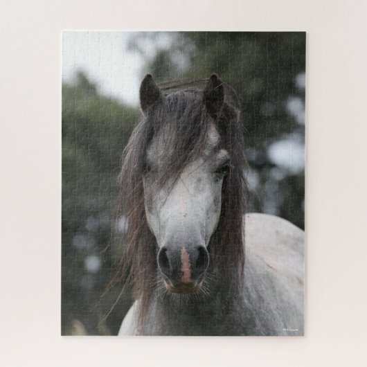 Puzzle Bob Langrish | Capture d'écran Gris Welsh Pony (Vertical)