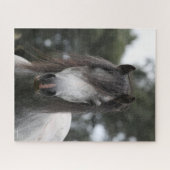 Puzzle Bob Langrish | Capture d'écran Gris Welsh Pony (Horizontal)