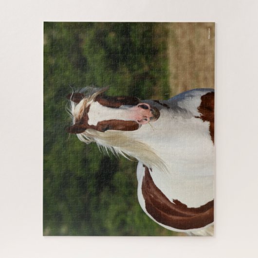Puzzle Bob Langrish | Capture d'écran Pinto Haflinger (Vertical)