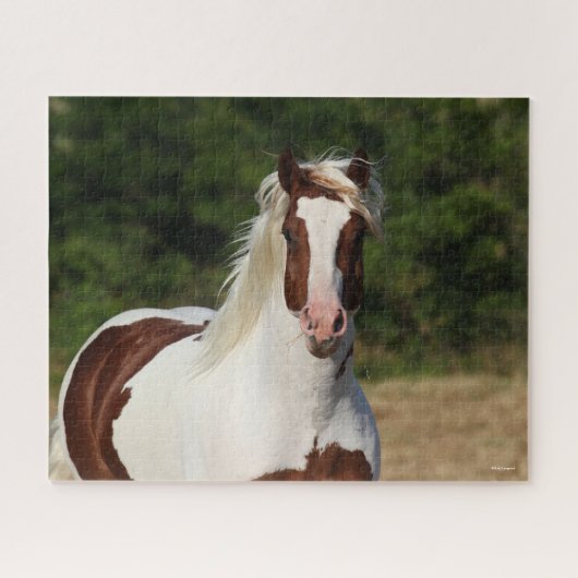 Puzzle Bob Langrish | Capture d'écran Pinto Haflinger (Horizontal)