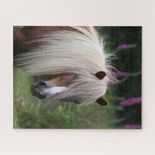 Puzzle Bob Langrish | Capture d'écran Shetland Pony avec  (Horizontal)