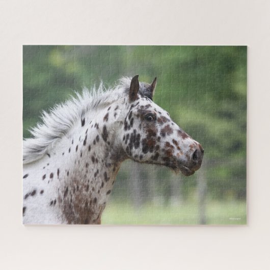 Puzzle Bob Langrish | Capture d'écran Spotty Knapstrupper (Horizontal)