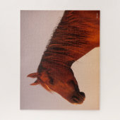 Puzzle Bob Langrish | Cascade de soleil pour Cheval arabe (Vertical)