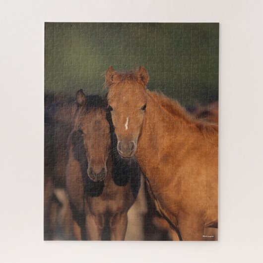 Puzzle Bob Langrish Caspian Pony Folies Se Regroupent (Vertical)