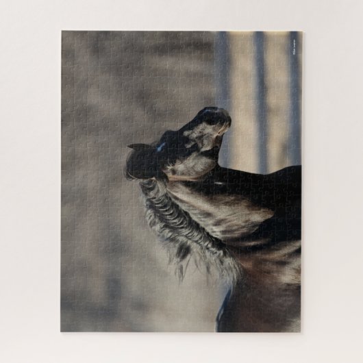 Puzzle Bob Langrish | Casque andalou de Mane Flow (Vertical)