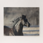 Puzzle Bob Langrish | Casque andalou de Mane Flow (Horizontal)