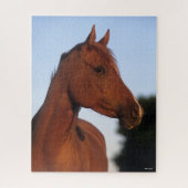Puzzle Bob Langrish | Casque arabe châtaigner (Vertical)