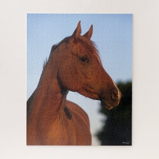Puzzle Bob Langrish | Casque arabe châtaigner (Vertical)