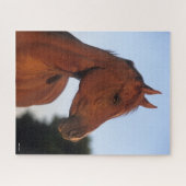 Puzzle Bob Langrish | Casque arabe châtaigner (Horizontal)