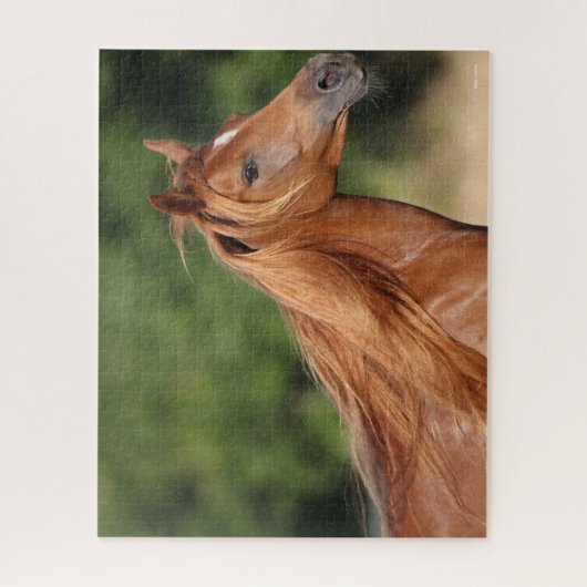 Puzzle Bob Langrish | Casque arabe châtaigner Mane Flow (Vertical)