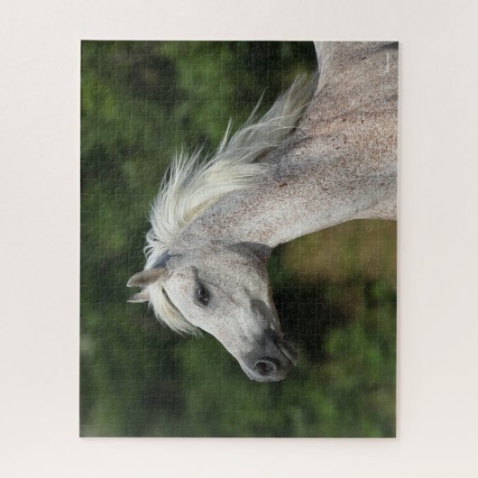 Puzzle Bob Langrish | Casque arabe gris (Vertical)