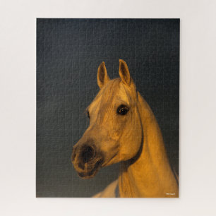 Puzzle Bob Langrish   Casque arabe gris au coucher du sol